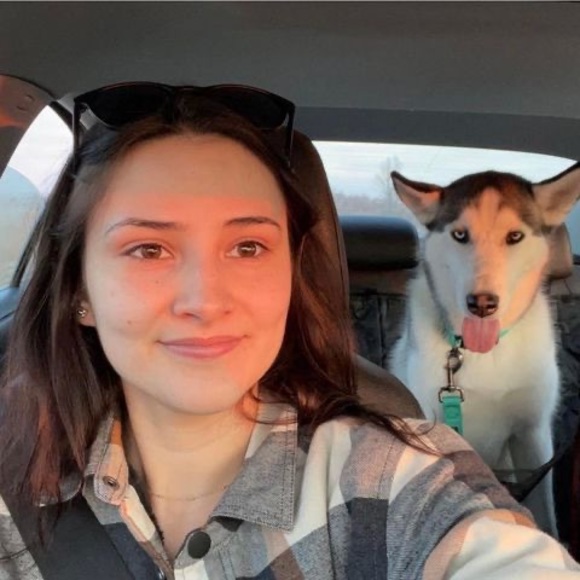 Meet your Posher, Laura - Picture 1 of 1